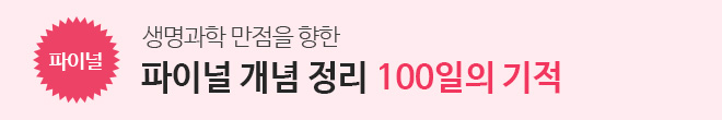 100일의 기적