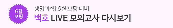 라이브 다시보