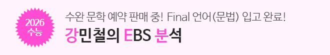 강E분 수완 문학, Final 언어(문법)