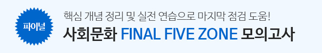 FFZ (사회문화)