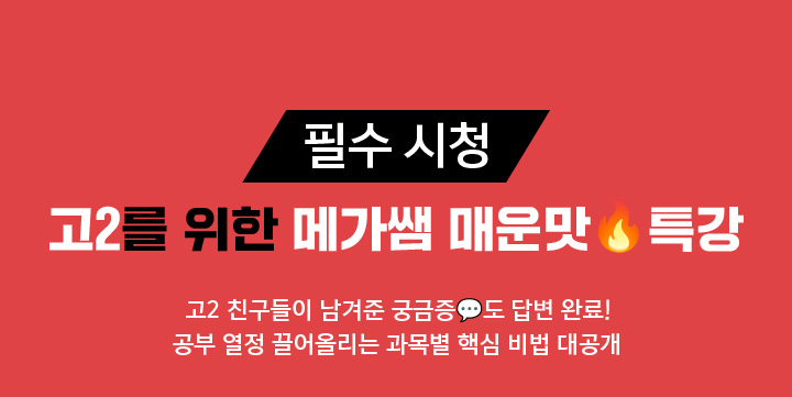 필수 시청 고2를 위한 메가쌤 매운맛 특강