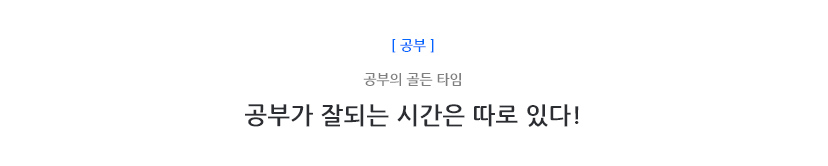 최신 공부 캐스트
