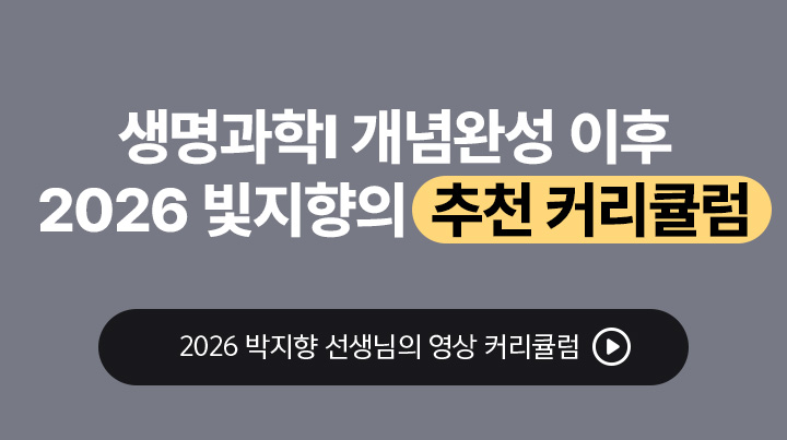 2026 빛지향의 추천 커리큘럼