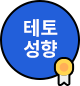 테토성향