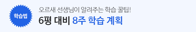 학습 계획
