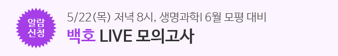 라이브