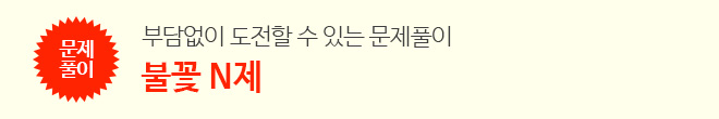 불꽃N