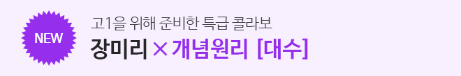 개념원리 대수