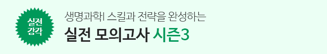 실전모고3