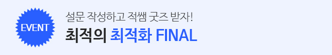 파이널 이벤트