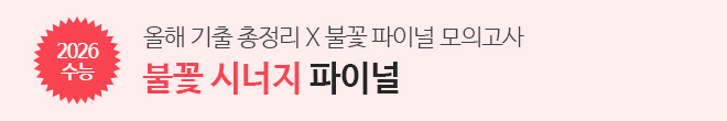 불꽃 시너지 파이널