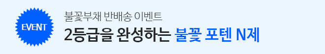 불꽃부채 반배송