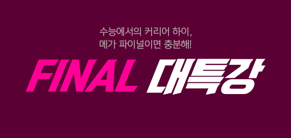FINAL 대특강