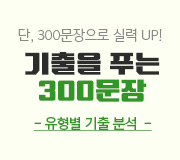 /ް_v2//Լ//300