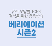 /ް_v2////̼2