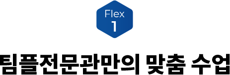 FLEX 1