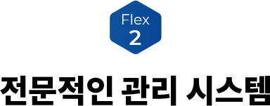 FLEX 2
