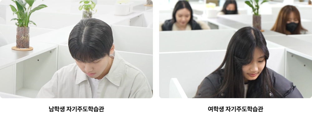 ̹