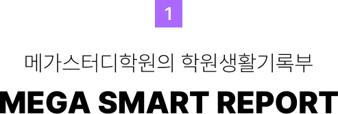 MEGA SMART REPORT