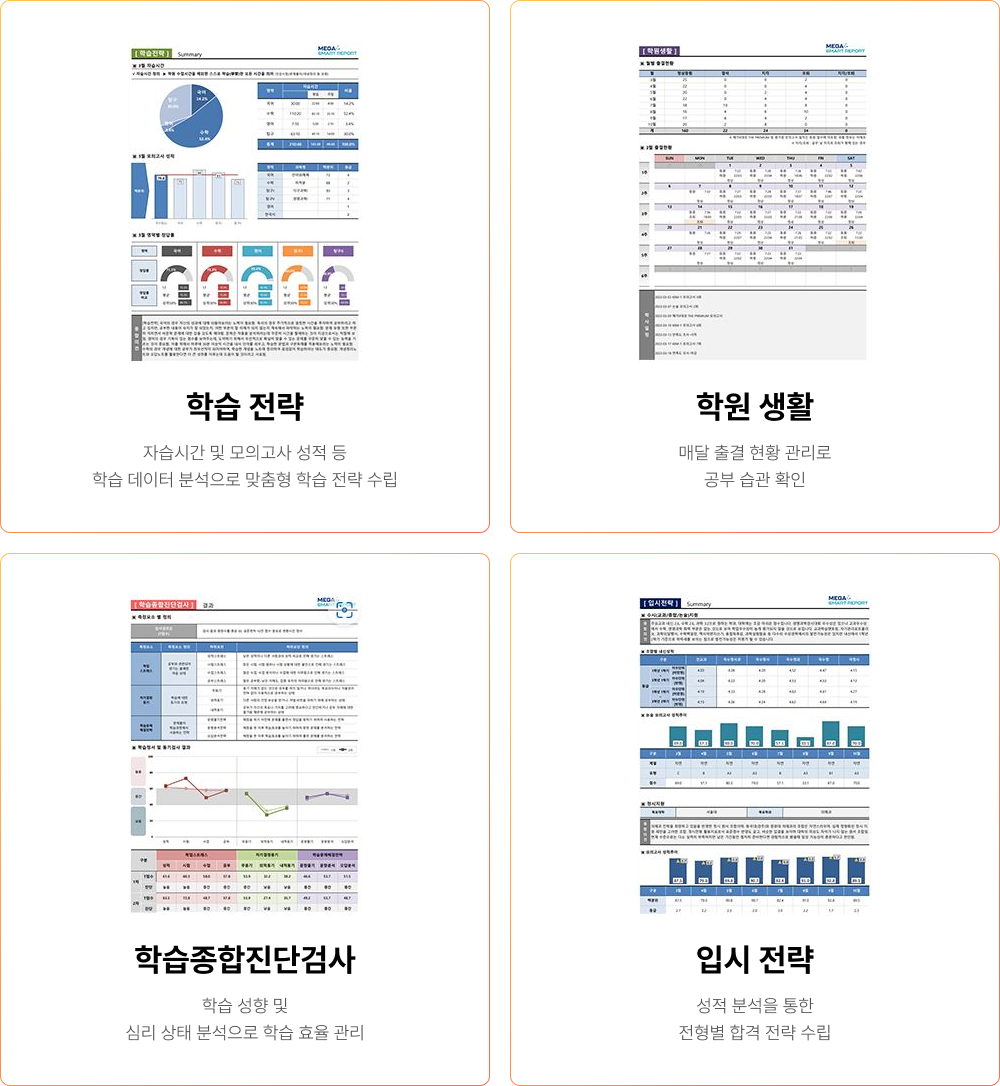 MEGA SMART REPORT
