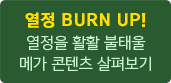  BURN UP!  ȰȰ ¿ ް  캸