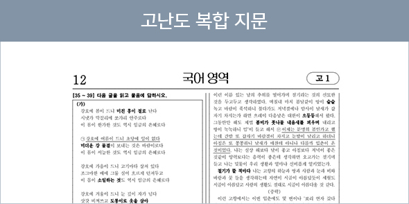 고난도 복합 지문