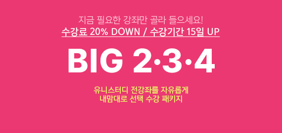 유니스터디 BIG