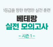 /ް_v2////1 1