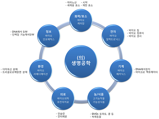 의)생명공학의 다양한 진로