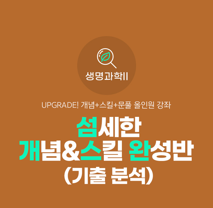 UPGRADE! 개념+스킬+문풀 올인원 강좌	섬세한 개념&스킬 완성반 (기출 분석)