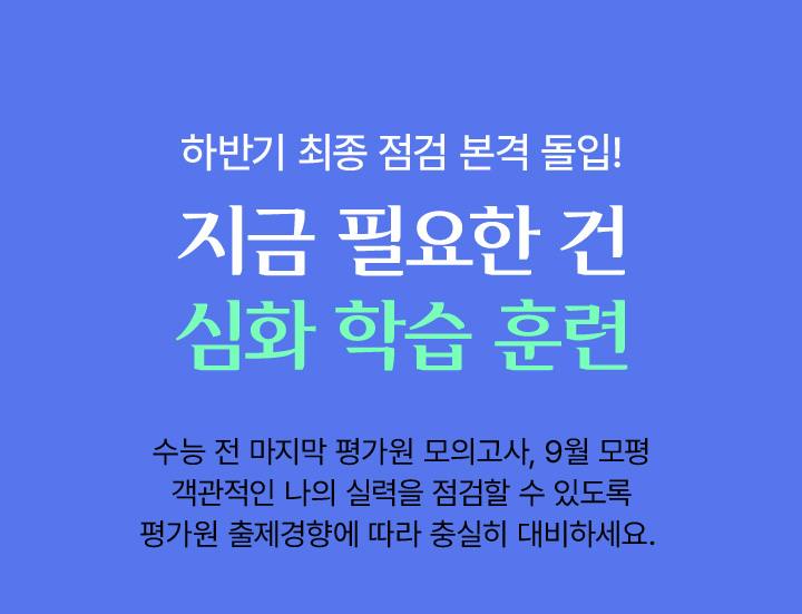 지금 필요한 건 심화 학습 훈련