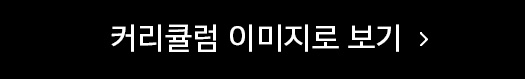 커리큘럼 이미지로 보기
