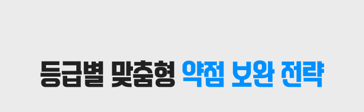 등급별 맞춤형 약점 보완 전략