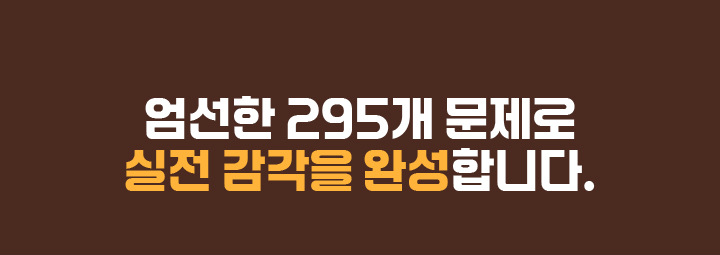 엄선한 295개 문제로 실전 감각을 완성합니다.