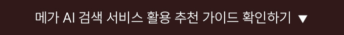 메가 AI 검색 서비스 활용 추천 가이드 확인하기
